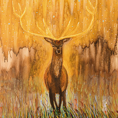 images/20234/deer.jpg#joomlaImage://local-images/20234/deer.jpg?width=400&height=400